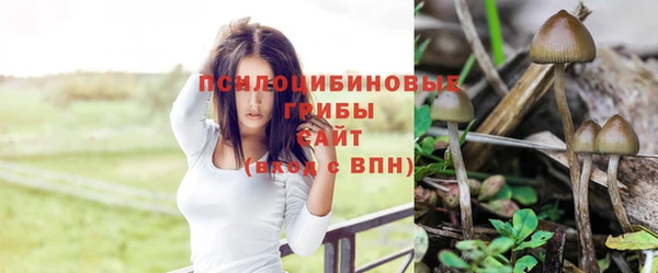 мдма Медвежьегорск