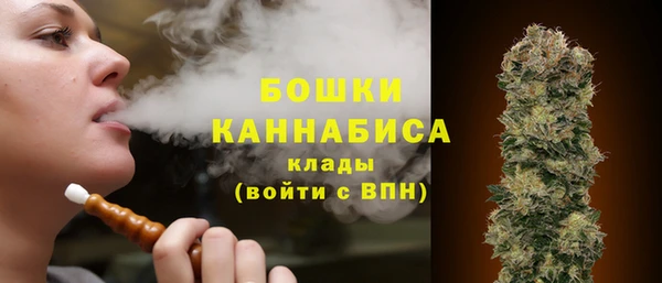 ПСИЛОЦИБИНОВЫЕ ГРИБЫ Каменногорск