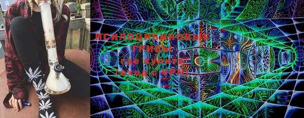 герыч Мегион