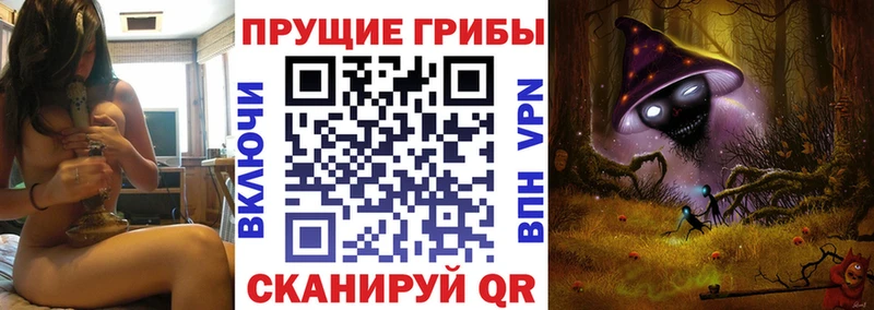 Псилоцибиновые грибы Psilocybe  Липки 